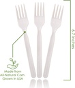 ecovita-100-compostable-forks---500-larg-3.jpg