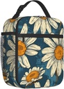 insulated-lunch-box-for-women-girls-dais-3.jpg