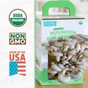 back-to-the-roots-organic-mini-mushroom--2.jpg