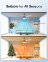 warmiplanet-ceiling-fan-with-led-light-a-5.jpg