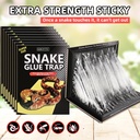 4-pack-10-x-16-large-snake-glue-traps-wi-2.jpg