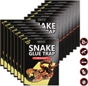 4-pack-10-x-16-large-snake-glue-traps-wi-3.jpg