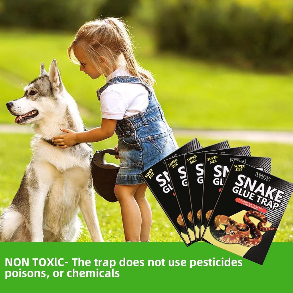 4-pack-10-x-16-large-snake-glue-traps-wi-6.jpg