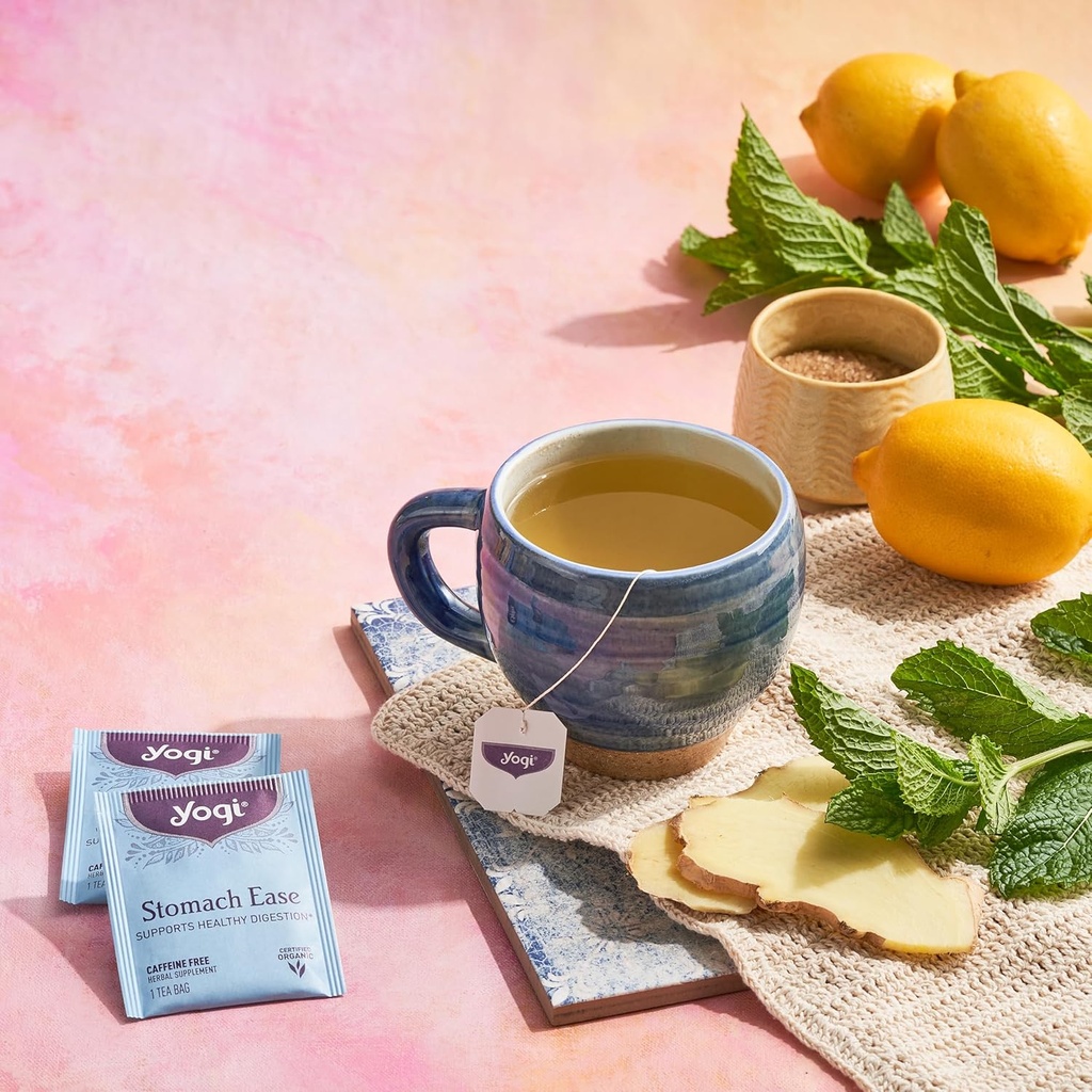 yogi-tea-stomach-ease-16-count-5.jpg