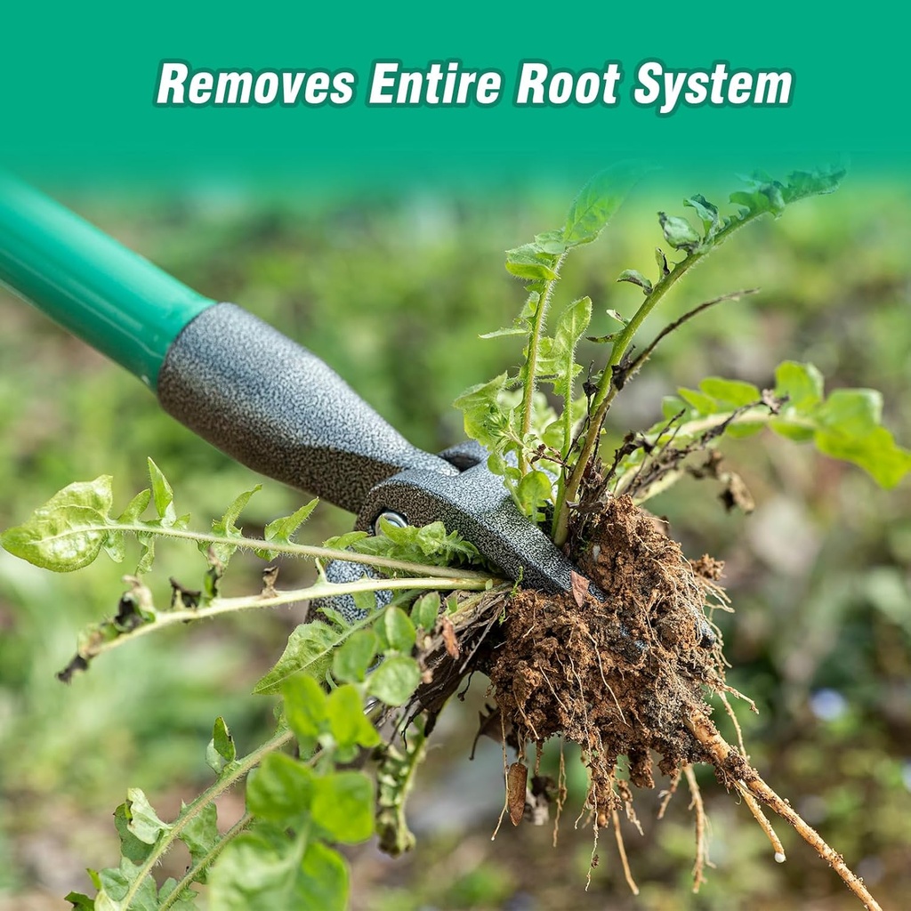 weed-puller-tool-gardening-hand-weeding--6.jpg