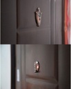 2-in-1-anti-theft-door-peephole-doorbell-4.jpg