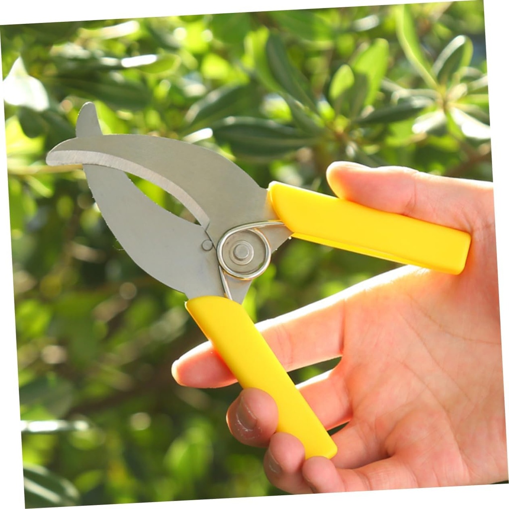 6pcs-stainless-steel-fruit-tree-pruner-t-6.jpg
