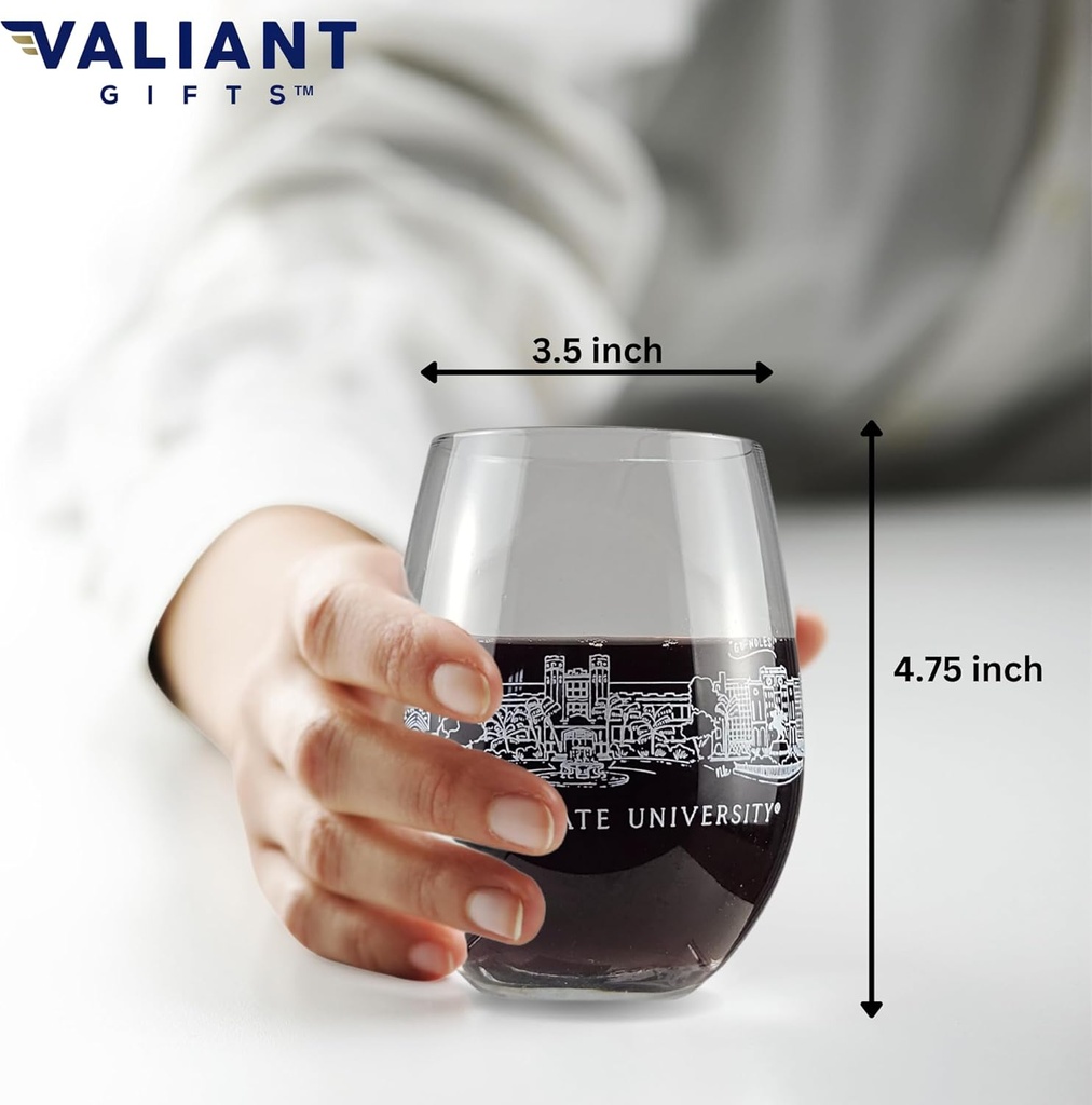 florida-state-university-12-oz-stemless--3.jpg