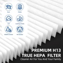 115115-hepa-replacement-filter-a-size-21-4.jpg
