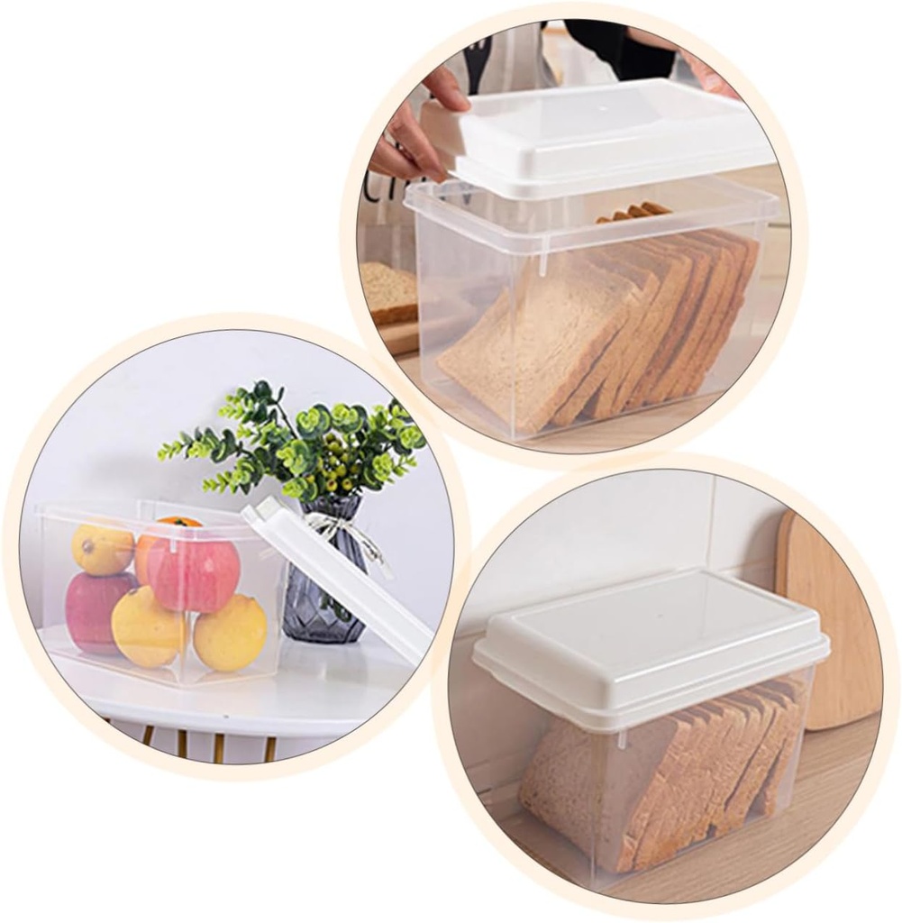 transparent-food-storage-box-with-lid-ve-5.jpg