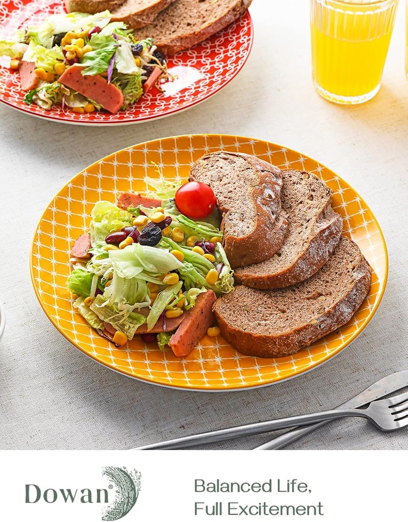 dowan-10-colorful-dinner-plates-set-of-6-2.jpg