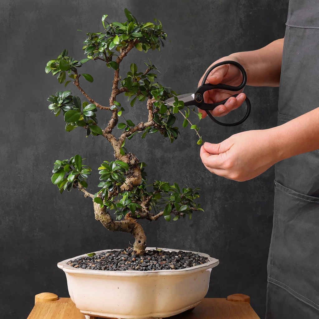 professional-bonsai-butterfly-scissors-p-6.jpg