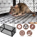 qualirey-2-pcs-humane-rat-trap-chipmunk--6.jpg