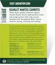 organic-carrot-seeds-scarlet-nantes---ap-4.jpg