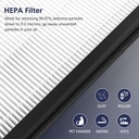 hy4866-filters-compatible-with-morento-h-4.jpg