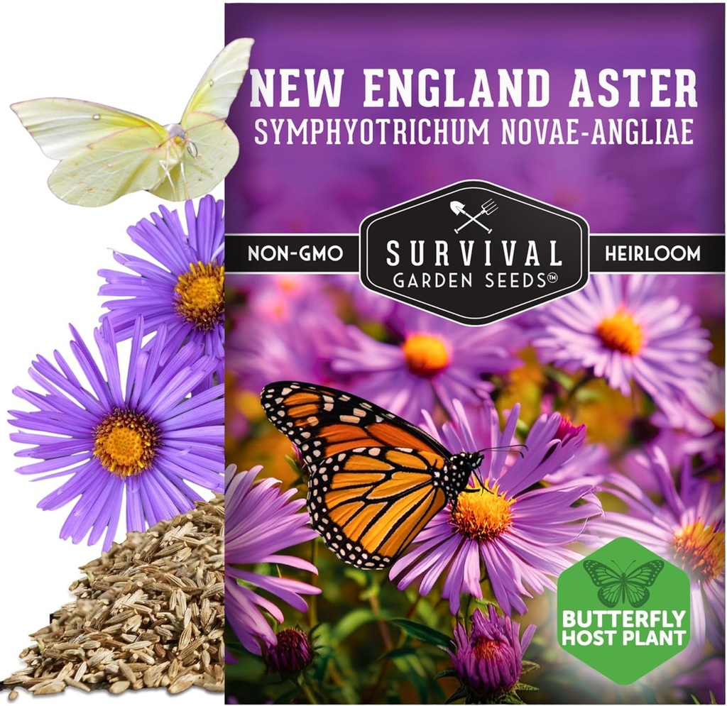 survival-garden-seeds---new-england-aste-5.jpg