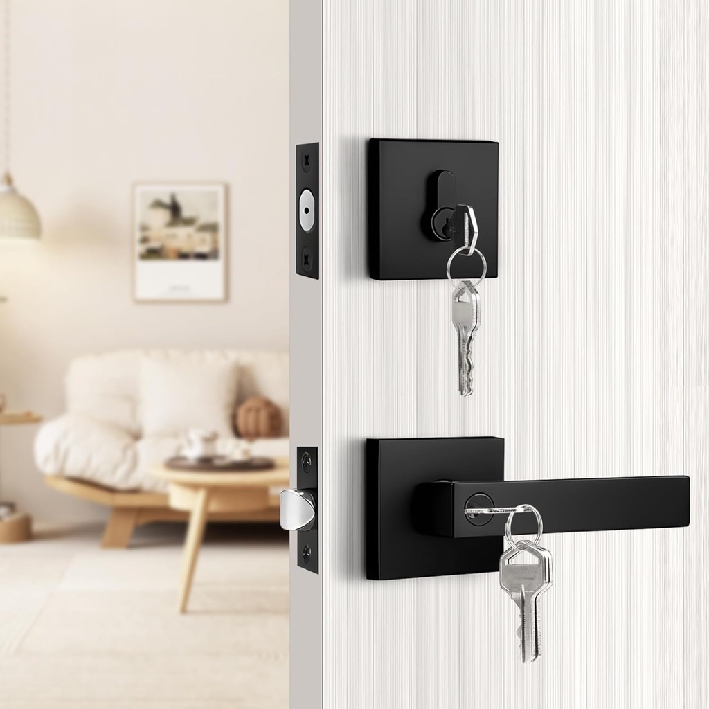 probrico-matte-black-exterior-door-locks-4.jpg