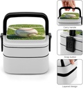 green-baseball-field-backdrop-bento-box--4.jpg