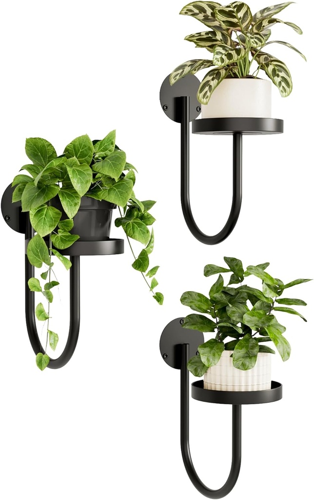 Bamworld Hanging Planters for Indoor Plants Wall Plant Holder Plant Hanger Indoor Wall Planters Window Plant Shelves Hanging Plant Holder Window Plant Hanger Plant Decor Black 3pcs