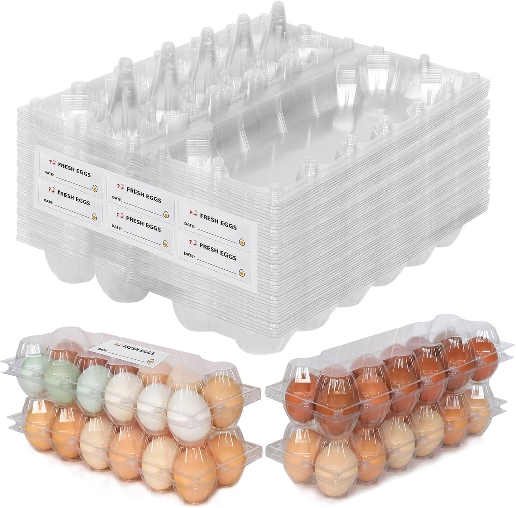 60 Packs 12 Count Clear Egg Cartons, 2 * 6 Grids Design, Perfect for Family, Farm, Markets, Display(Large)