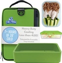 Chillybox Patented Lunch Box Cooler with Reusable Cooling Tray, Versatile Sealable Plastic Container - Lunchbags for Men and Women - Perfect for Worksites, Hiking, and Beach Days (Mojito Green)