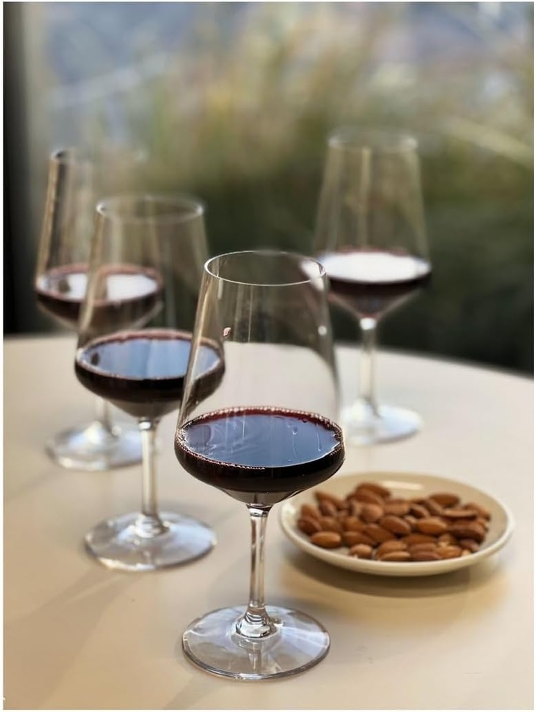 Set of 4 Unbreakable Plastic Wine Glasses, 19oz Capacity, Shatterproof Stemmed Design, Clear Color