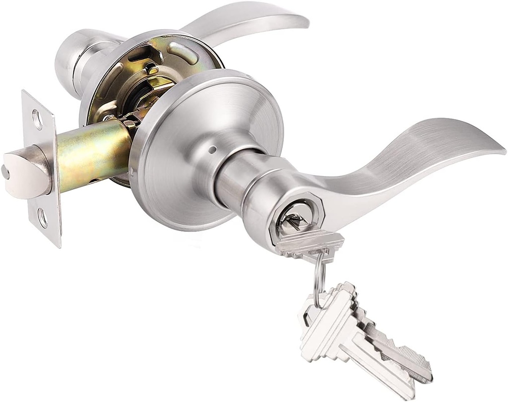 Gobrico Wave Entry Door Handle Brushed Nickel Keyed Entry Lock Square Entry Door Lever with Different Key Exterior Interior Entrance Lever for Office or Front Door 1 Pack