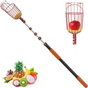 26FT Reach Fruit Picker Pole with Basket Telescoping, Apple Picker with 5-20FT Telescoping Pole for Apple Orange Lemon Mango Avocado Guava Fruit Picking