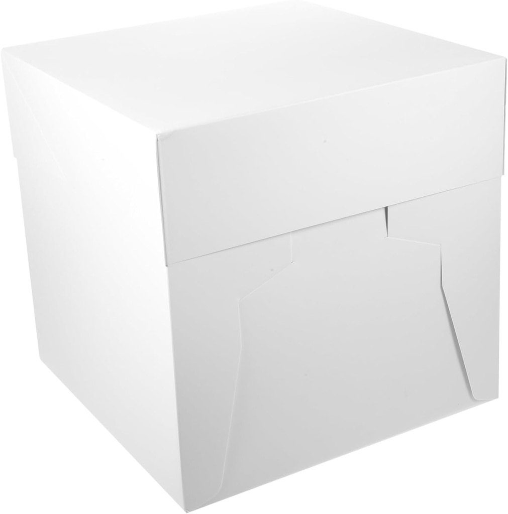 Cake Carrier Box 12-inch Square Cake Box Cake Boxes Handle Sturdy Practical for Outdoor Party Use