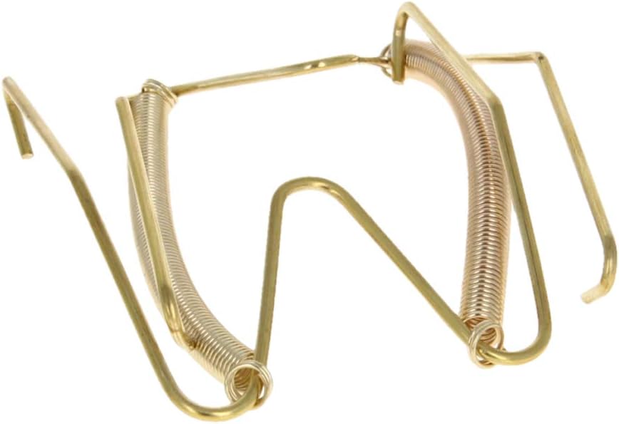 Bettomshin 1PCS Plate Hanger 10" W Type Stainless Steel Plate Hangers Invisible Wall Hooks for Walls Compatible Decorative Plates Hooks Dish Diaplay Holder Golden