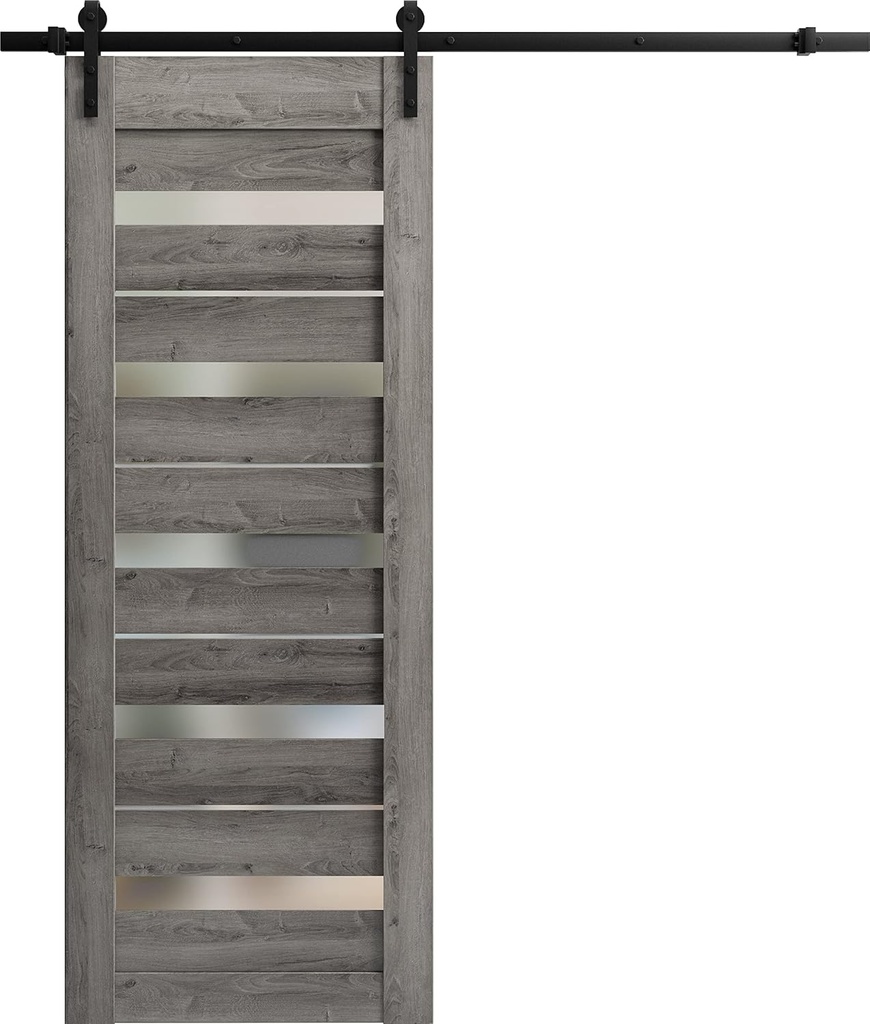 SARTODOORS Quadro 4445 | Interior Single Sliding barn Door with Frosted Glass, MDF, 24x80, Black, Modern Style | Hardware Included