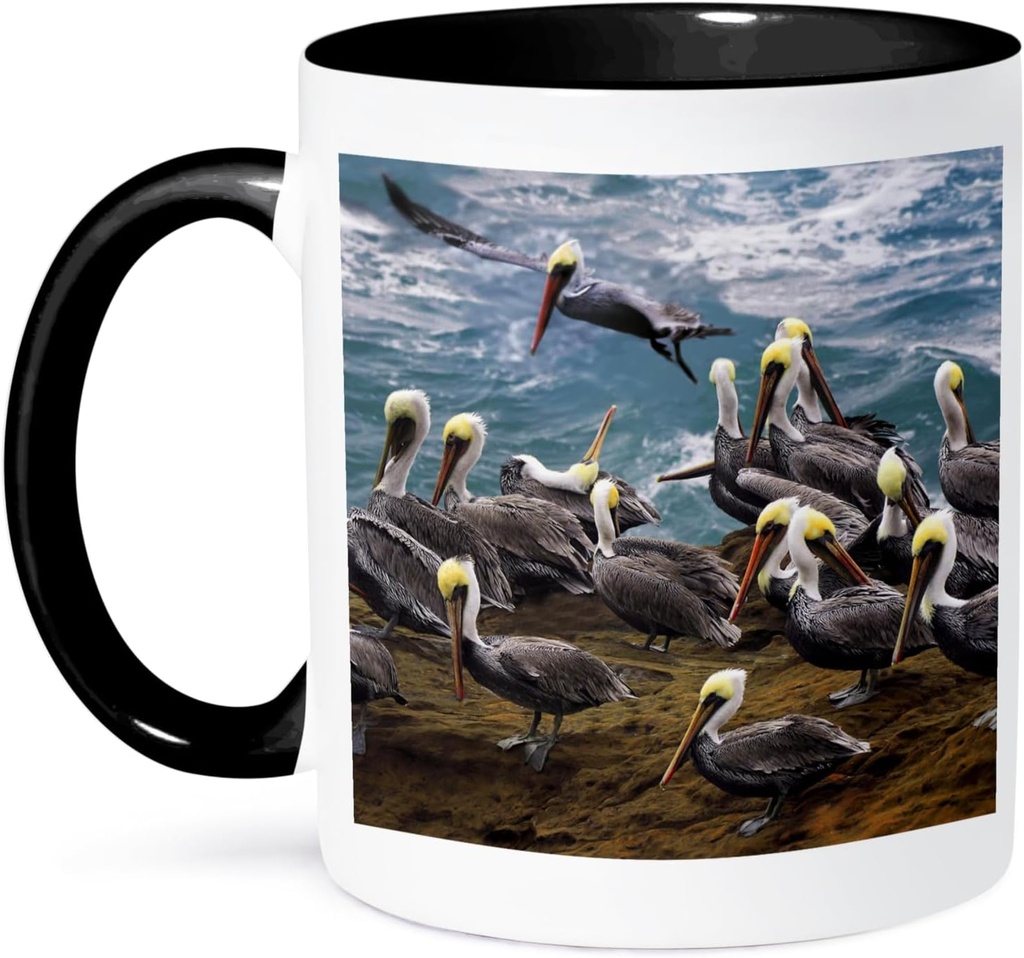 3dRose USA, Oregon, Newport. Brown pelicans at Devils Punch Bowl. 11oz Two-Tone Black Mug