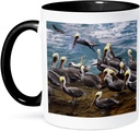 3dRose USA, Oregon, Newport. Brown pelicans at Devils Punch Bowl. 11oz Two-Tone Black Mug