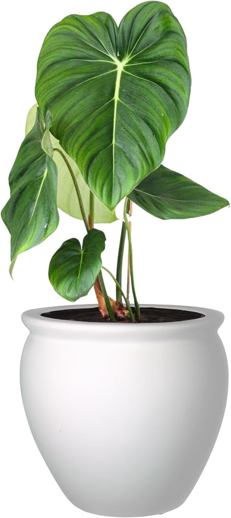 Elly Décor 17-inch Round Fiberstone Planter, Conic Design, with Lip Lightweight, Durable Garden Pot, Indoors and Outdoors 15"x17" White