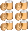 Cabilock 6pcs Double Lids Airtight Tea Canister Reusable Tinplate Storage for Kitchen Candy Jar and Container Elegant Gold Design