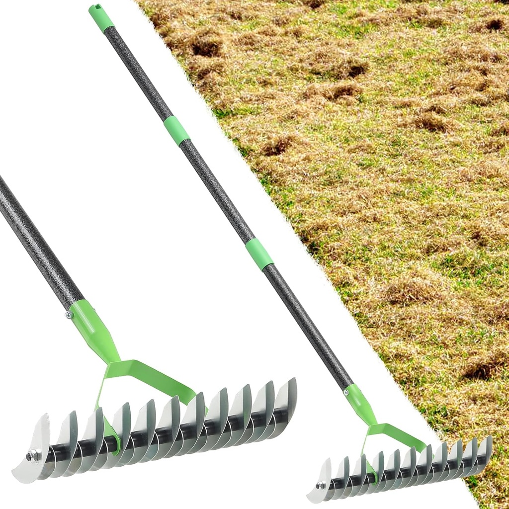 Thatch Rake, Garden Dethatcher Rakes for Lawns Heavy Duty, Metal Thatcher with Double-Sided Sharp Rake Head for Dead Grass Moss Remove, Loosen Soil, 67" Manual Thatching Tool for Gardening, Yard
