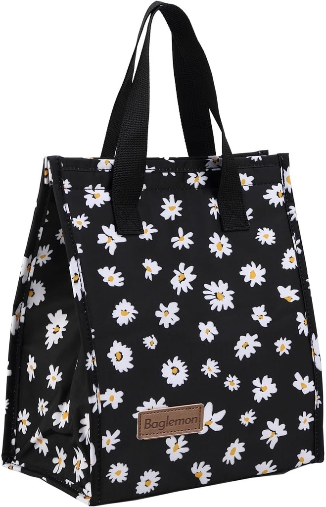 Lunch bag, Insulated Lunch Bag for Women Men, Lunch Containers Reusable Lunch Tote Bags for Work, Travel, Outdoor