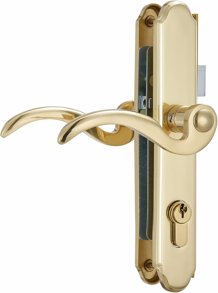 Solid Brass Lever Handle Mortise Lock Set for Screen/Storm Door Replacement, Only for Left-hinged Outswing Door(View from Outside) of 1 in. Or 1.38 in. Thickness, Brushed Polished Brass