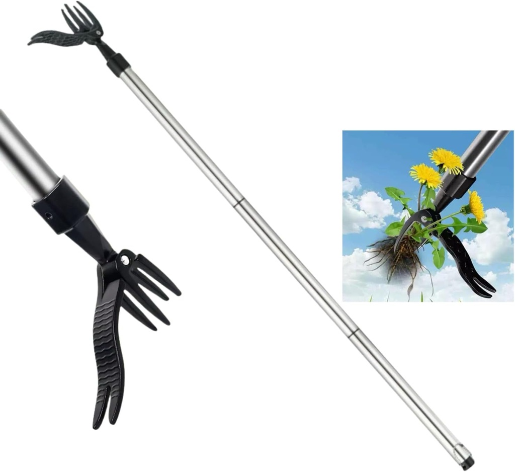 Standing Grass Puller ，Stand Up Weed Puller Tool with Stainless Steel Stick- 4 Claw Steel Head - Sectional Pole Design - 100% Metal - Easily Remove Weeds Without Bending or Kneeling