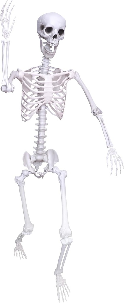 5.9Ft Halloween Skeleton Posable Skeleton Life Size Skeleton Plastic Full Body Human Skeleton for Halloween Decorations