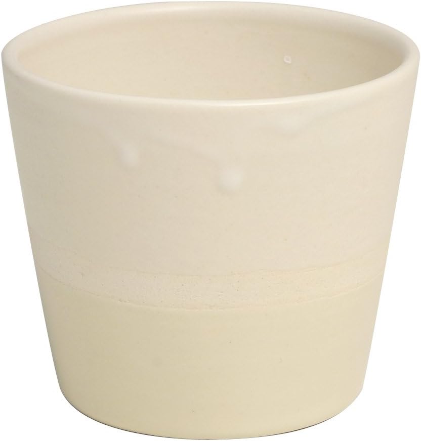 丸伊製陶 Shigaraki Ware Hechimon Thank You Cup, Vanilla