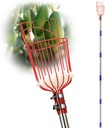DonSail Fruit Picker Pole Tool with Basket Long Handle, 35-65 Inch Adjustable Apple Orange Picker Pole Tool with Basket for Avocado Acorn Lemon Pear Mango Tree Picker