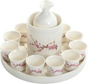 Exquisite 11-Piece Japanese Sake Set with Ceramic Tray, Warmer, Pot & 8 Cups, Hand-Painted Design, Ideal Gift for Special Occasions(Colors of Spring)