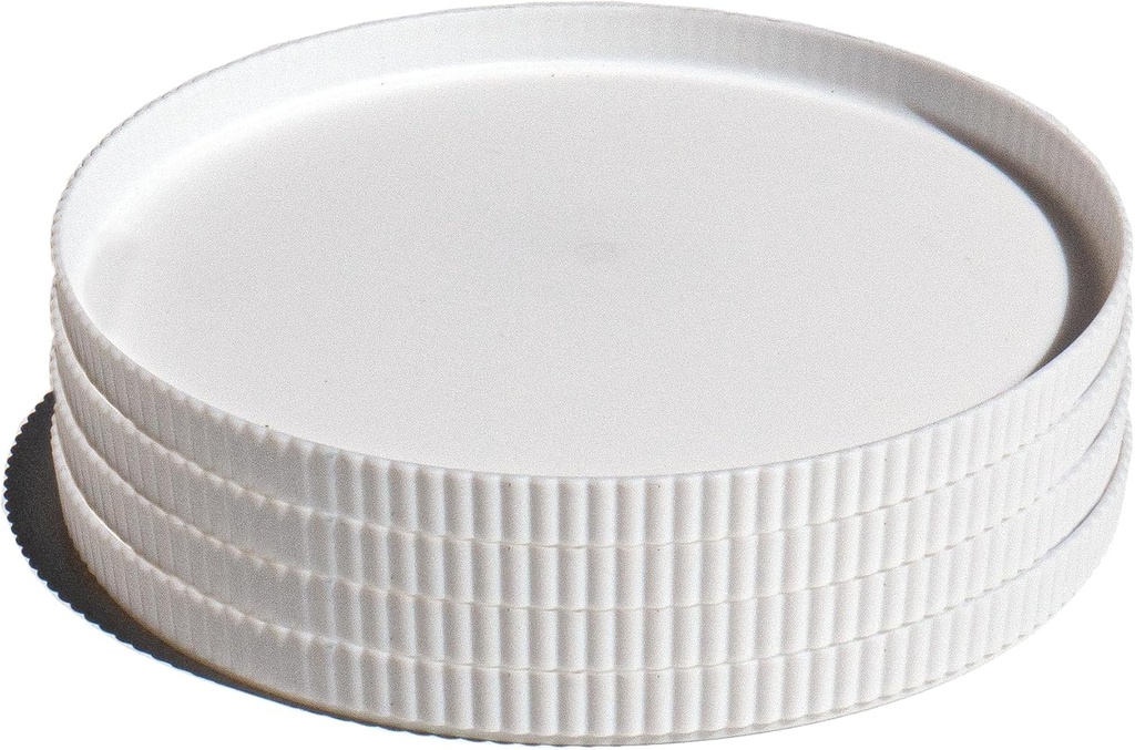 Mesa Polypro Set of 4 Dinner Plates, White, 10"