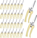 Chumia 30 Pcs Garden Flower Shears Pruning Scissors Heavy Duty Plant Scissors Trimming Garden Clippers Hand Tree Pruner for Yard Gardening Plants Hedge Flower Tree Cutting Secateurs (Beige)