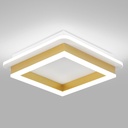 CANEOE Square Flush Mount Ceiling Light 24W Modern Led Hallway Ceiling Light Fixtures Gold Close to Ceilings Lamp for Bedroom Bathroom Living Room Laundry Kitchen