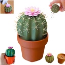 Cactus Salt and Pepper Shakers, 3D Printed Cactus Shape Salt and Pepper Shakers, Refillable Cute Mini Spice Dispenser for Kitchen, Dining Table, or Outdoor Use