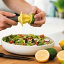 BergHOFF LEO Food Grade PP Hand Juicer 5in with Soft-touch Recycled PP Handle Manual Squeezer Reamer for Lemon Limes Citrus Fruit