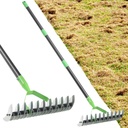 Thatch Rake, Garden Dethatcher Rakes for Lawns Heavy Duty, Metal Thatcher with Double-Sided Sharp Rake Head for Dead Grass Moss Remove, Loosen Soil, 67" Manual Thatching Tool for Gardening, Yard