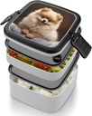 Bento Box Adult Lunch Box Lunchable Food Container with Utensil Cute Pomeranian Dog Lunchbox Leak-Proof Lunch Containers Double Layer Bento Box for Dining Out Work Picnics Travel